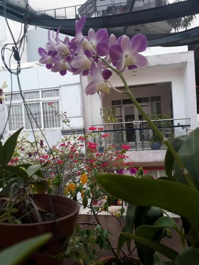 Giang Hotel – Fotos 8